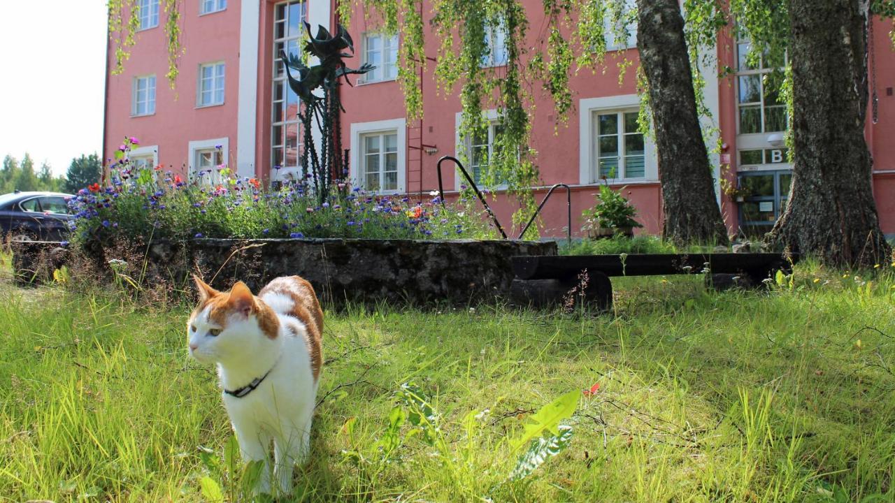 Vanha Koulu Suolahti Bagian luar foto