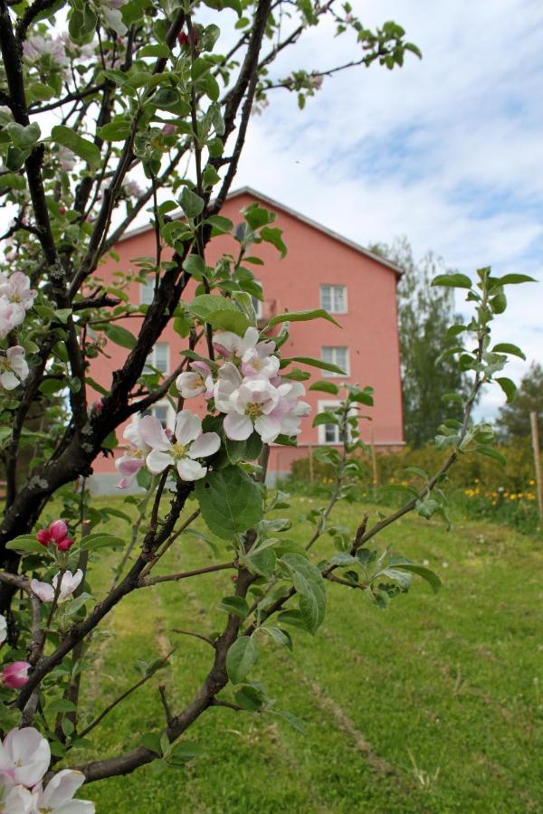 Vanha Koulu Suolahti Bagian luar foto