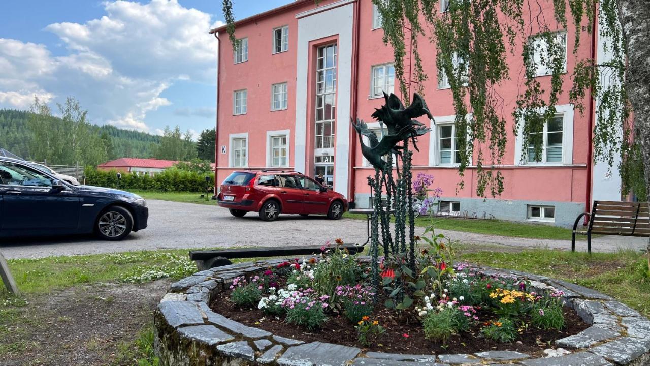 Vanha Koulu Suolahti Bagian luar foto